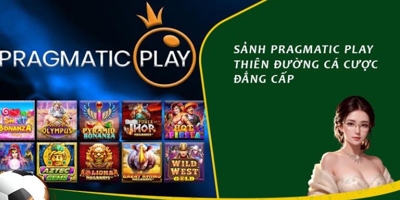 Giới thiệu sảnh PP những thông tin sơ bộ