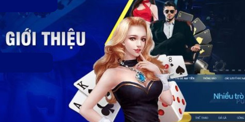 Giới thiệu sảnh RTG và tổng quan thương hiệu