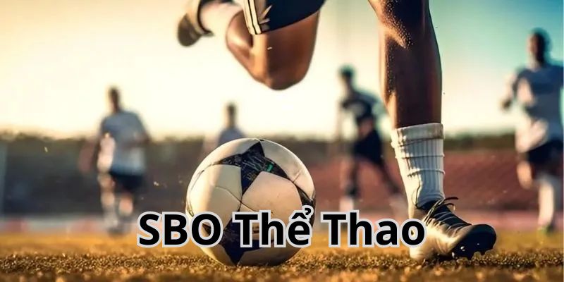 Giới thiệu sảnh SBO – Các môn cá cược được yêu thích nhất tại đây