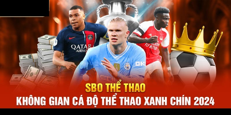 Giới Thiệu Sảnh SBO – Địa Chỉ Cá Cược Thể Thao Đỉnh Cao