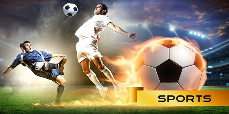 Khám phá các tựa game thể thao hot có ở nhà cái